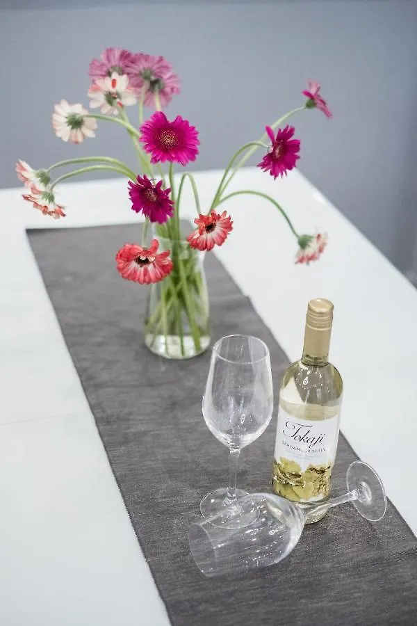 Prime Star Deak Ter Modern Luxury Apartments Budapest